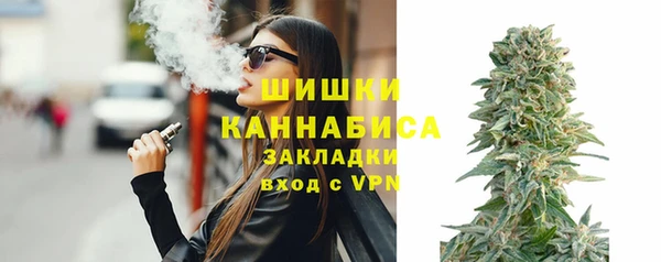 прущие грибы Балабаново