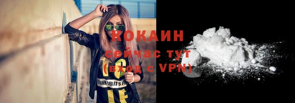 прущие грибы Балабаново