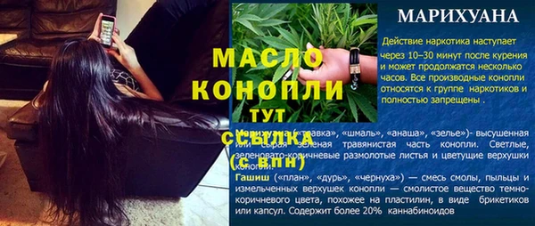 молекула духа Арсеньев