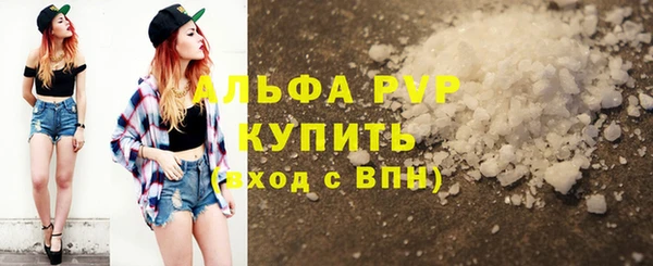 прущие грибы Балабаново