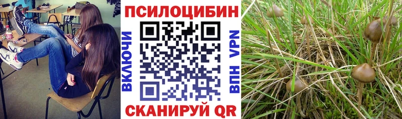 Псилоцибиновые грибы Psilocybine cubensis  где купить наркоту  Кушва 
